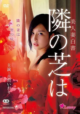 小姐 电影海报
